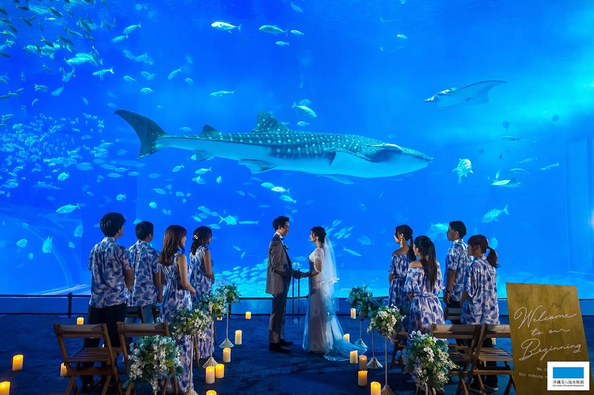 美ら海水族館ウェディング