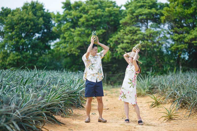 沖縄カップル体験・パイナップル畑